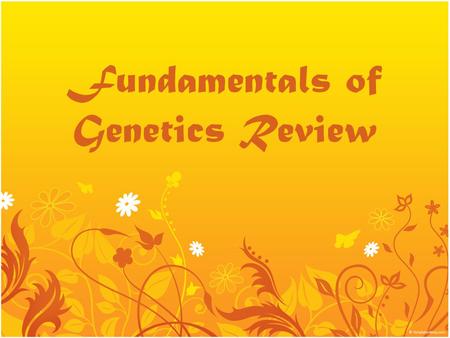 Fundamentals of Genetics Review. Definitions 100 The field of Biology devoted to understanding how characteristics are transmitted from parents to offspring.