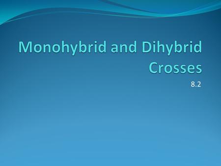 8.2. Monohybrid Crosses Looking at one characteristic Shows what the offspring genotypes could be This first generation is known as F 1 Crossing this.