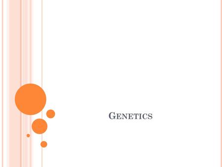 G ENETICS. H EREDITY The passing of traits from parents to offspring. Gregor Mendel known as the father of genetics. His work formed the foundation of.