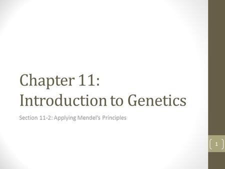 Chapter 11: Introduction to Genetics