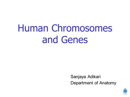 Human Chromosomes and Genes Sanjaya Adikari Department of Anatomy.