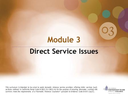 Module 3 Direct Service Issues This curriculum is intended to be a tool to assist domestic violence service providers offering victim services (such as.