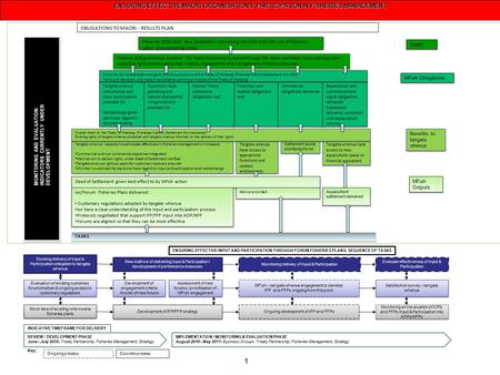 1 ENSURING EFFECTIVE MAORI ORGANISATIONS’ PARTICIPATION IN FISHERIES MANAGEMENT ENSURING EFFECTIVE MAORI ORGANISATIONS’ PARTICIPATION IN FISHERIES MANAGEMENT.