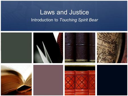 Introduction to Touching Spirit Bear