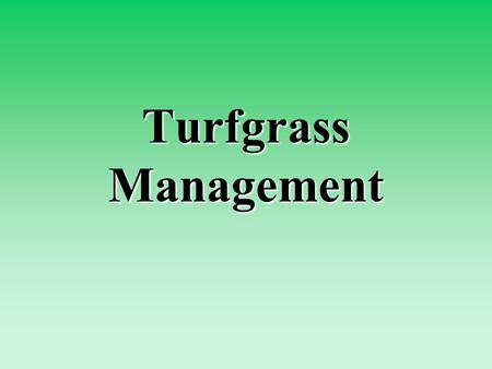 Turfgrass Management. What is turfgrass? Turf -- the plants in a ground cover and the soil in which the roots grow Turfgrass -- a collection of grass.