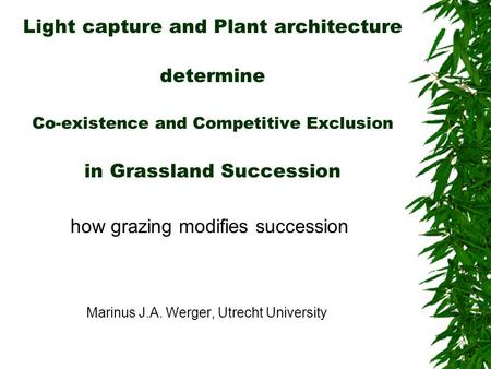 Light capture and Plant architecture determine Co-existence and Competitive Exclusion in Grassland Succession how grazing modifies succession Marinus J.A.