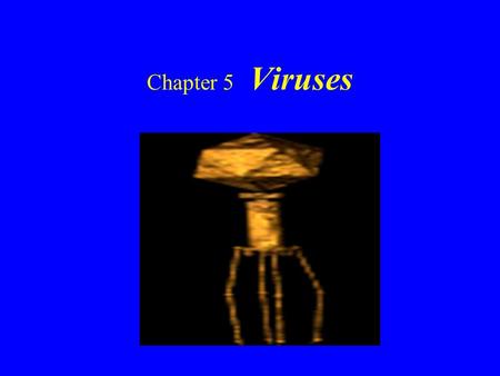 Chapter 5 Viruses.