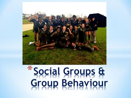 Social Scientists define a social group as a group of two or more people who have four characteristics: * They interact regularly and influence each other.