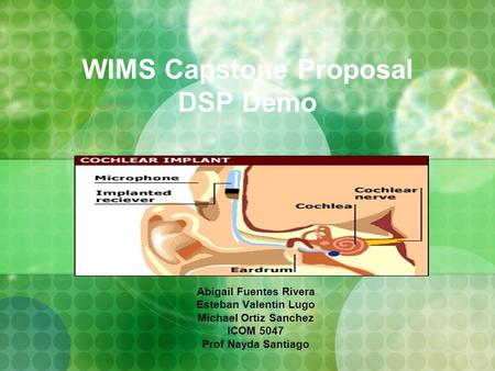 WIMS Capstone Proposal DSP Demo Abigail Fuentes Rivera Esteban Valentin Lugo Michael Ortiz Sanchez ICOM 5047 Prof Nayda Santiago.