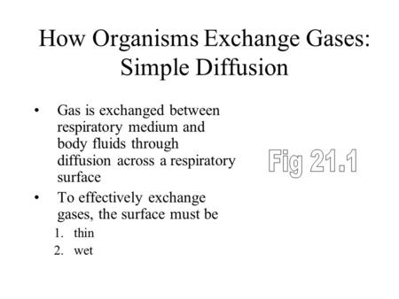 How Organisms Exchange Gases: Simple Diffusion Gas is exchanged between respiratory medium and body fluids through diffusion across a respiratory surface.