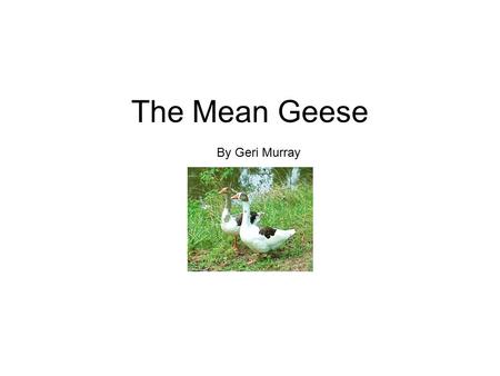 The Mean Geese By Geri Murray. Scat went to the creek. She wanted to teach her kittens to sneak into the weeds for things to eat. When she got near the.