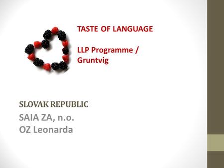 SLOVAK REPUBLIC SAIA ZA, n.o. OZ Leonarda TASTE OF LANGUAGE LLP Programme / Gruntvig.