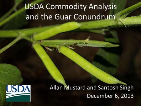 USDA Commodity Analysis and the Guar Conundrum Allan Mustard and Santosh Singh December 6, 2013.