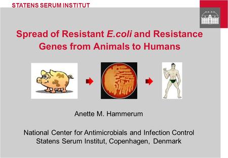 STATENS SERUM INSTITUT Spread of Resistant E.coli and Resistance Genes from Animals to Humans Anette M. Hammerum National Center for Antimicrobials and.