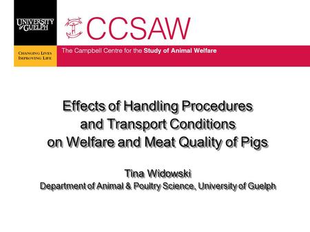 Effects of Handling Procedures and Transport Conditions on Welfare and Meat Quality of Pigs Tina Widowski Department of Animal & Poultry Science, University.