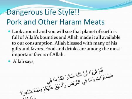 Dangerous Life Style!! Pork and Other Haram Meats