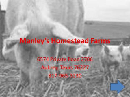 Manley’s Homestead Farms 6574 Private Road 2706 Aubrey, Texas 76227 817-965-3230.