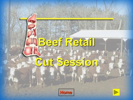 Beef Retail Cut Session