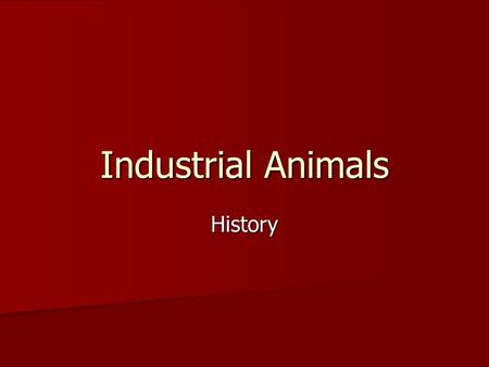 Industrial Animals History. Unit Map Set Up (warm-up) Unit Name: Industrial Animals Unit Name: Industrial Animals Unit Essential Question: What are industrial.