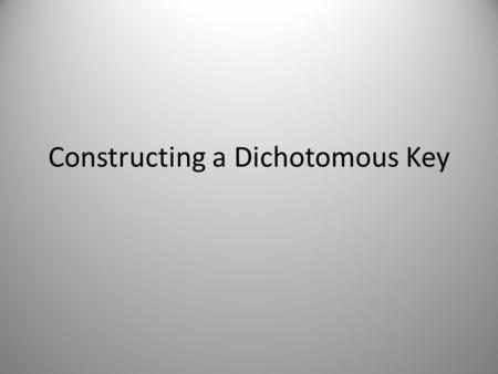 Constructing a Dichotomous Key