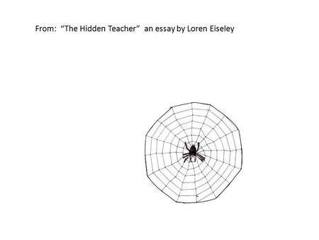 From:  “The Hidden Teacher”  an essay by Loren Eiseley