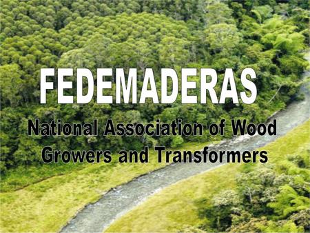 LA INDUSTRIA FORESTAL EN COLOMBIA C°C° Planted Forest Raw materials/Transformation Furniture Other ProductsVendor and Supplier FEDEMADERAS Production.