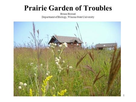 Prairie Garden of Troubles Bruno Borsari Department of Biology, Winona State University 1.