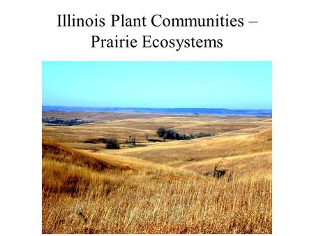 Illinois Plant Communities – Prairie Ecosystems.