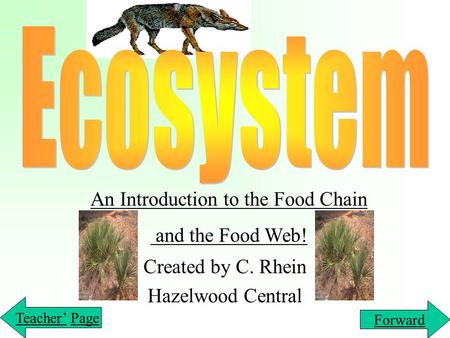 Created by C. Rhein Hazelwood Central An Introduction to the Food Chain and the Food Web! Teacher’Teacher’ PagePage Forward.