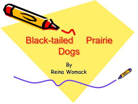 Black-tailed Prairie Dogs By Reina Womack. Fun Facts to Know Stands about 14 to 17 inches tall Weighs about 3 pounds Brown in color with black tip on.