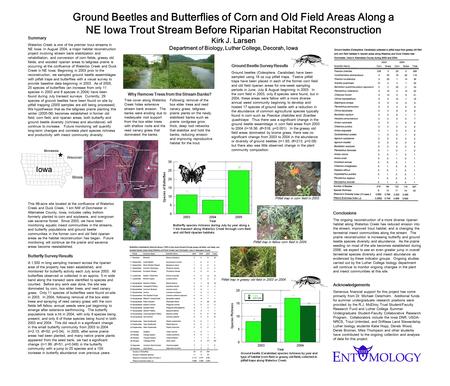 Ground Beetles and Butterflies of Corn and Old Field Areas Along a NE Iowa Trout Stream Before Riparian Habitat Reconstruction Kirk J. Larsen Department.