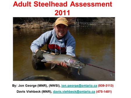 Adult Steelhead Assessment 2011