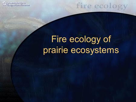 Fire ecology of prairie ecosystems. Prairie ecosystems Ranged from central Canada south to Mexico, and from the Rocky Mountains east to Indiana Prairies.