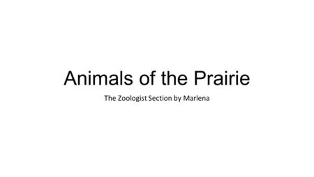 Animals of the Prairie The Zoologist Section by Marlena.