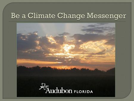  … on behalf of coastal habitats that support birds and other wildlife  … and advocate for protection of climate strongholds – coastal and upland habitats.