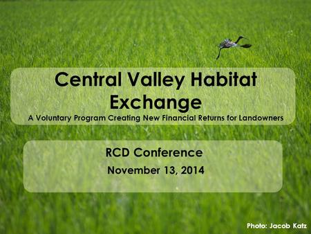 Central Valley Habitat Exchange A Voluntary Program Creating New Financial Returns for Landowners RCD Conference November 13, 2014 Photo: Jacob Katz.