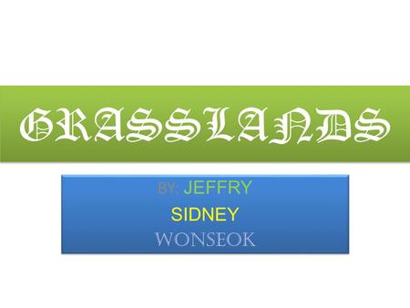 GRASSLANDS BY: JEFFRY SIDNEY WONSEOK BY: JEFFRY SIDNEY WONSEOK.