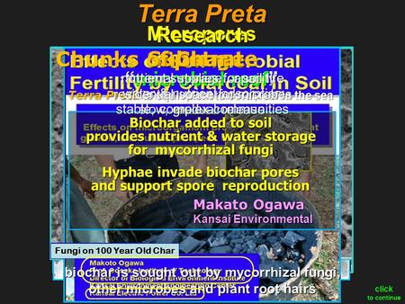 Fungi on New Char Micropores Fungi on 100 Year Old Char biochar is sought out by mycorrhizal fungi, other microbes and plant root hairs “microbial reef”