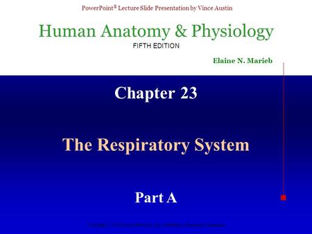 The Respiratory System