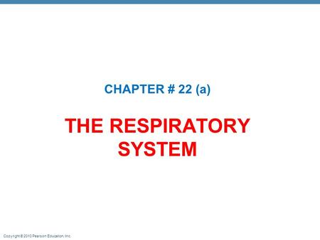 THE RESPIRATORY SYSTEM