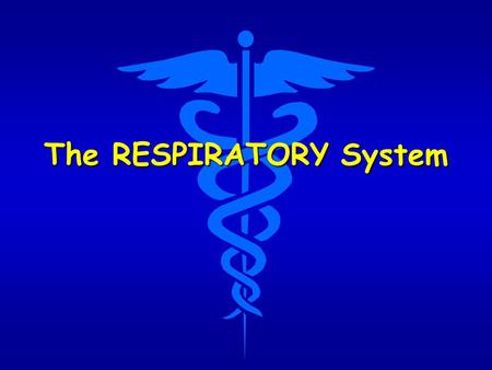 The RESPIRATORY System