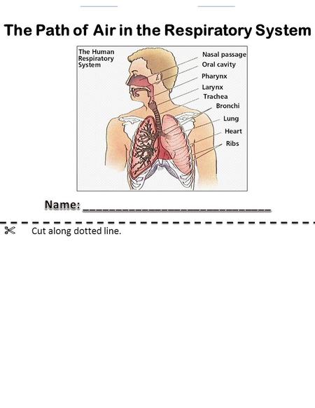 Create the cover page by inserting clip art, WordArt, and text. Triple-click and enter your name here. Do not press the delete key! Triple-click and enter.