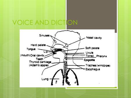 VOICE AND DICTION.