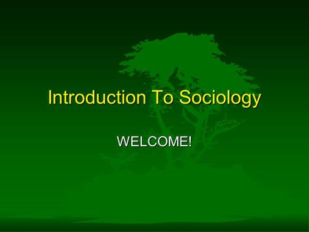 Introduction To Sociology