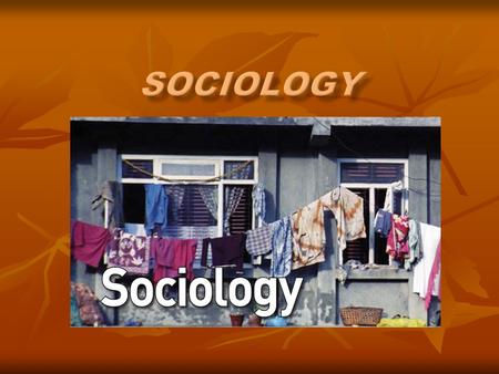 Sociology.