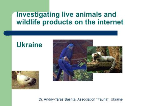 Investigating live animals and wildlife products on the internet Ukraine Dr. Andriy-Taras Bashta, Association “Fauna”, Ukraine.