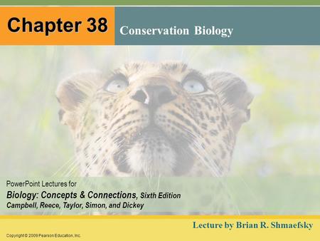 Copyright © 2009 Pearson Education, Inc. PowerPoint Lectures for Biology: Concepts & Connections, Sixth Edition Campbell, Reece, Taylor, Simon, and Dickey.