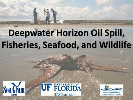 Deepwater Horizon Oil Spill, Fisheries, Seafood, and Wildlife