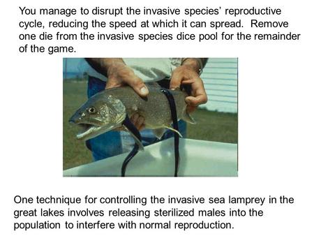 You manage to disrupt the invasive species’ reproductive cycle, reducing the speed at which it can spread. Remove one die from the invasive species dice.