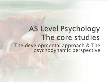 The developmental approach & The psychodynamic perspective.